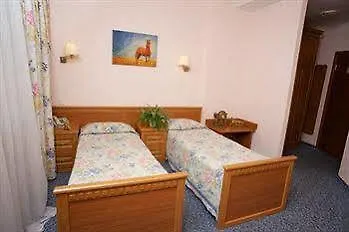 Old Port Hotel Boryspilʼ